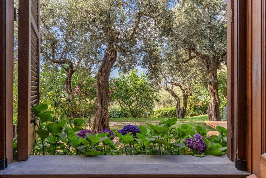 Villa Casala - Thumbnail 62