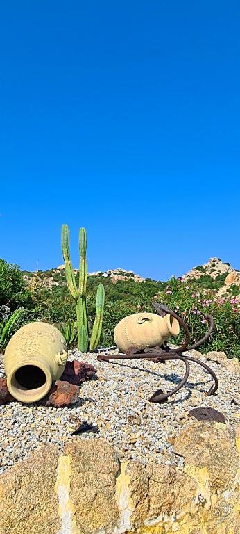 Villa Venere - Thumbnail 24