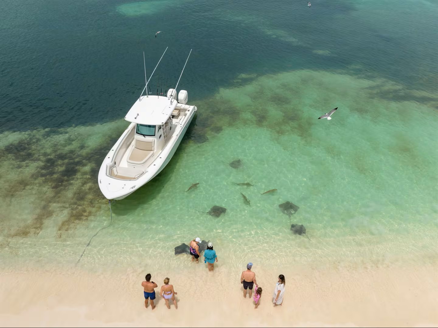 Villa Serene - Thumbnail 23