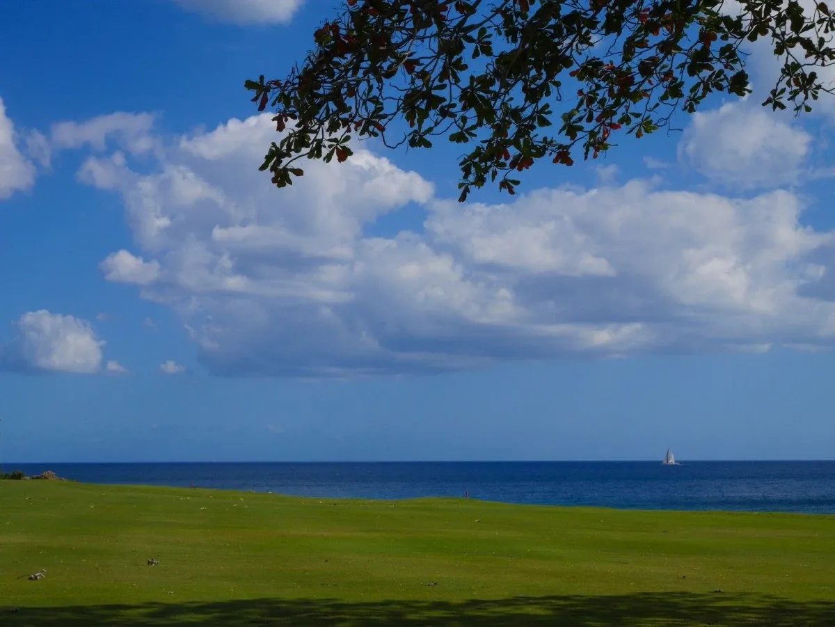 Villa Ani - Thumbnail 34