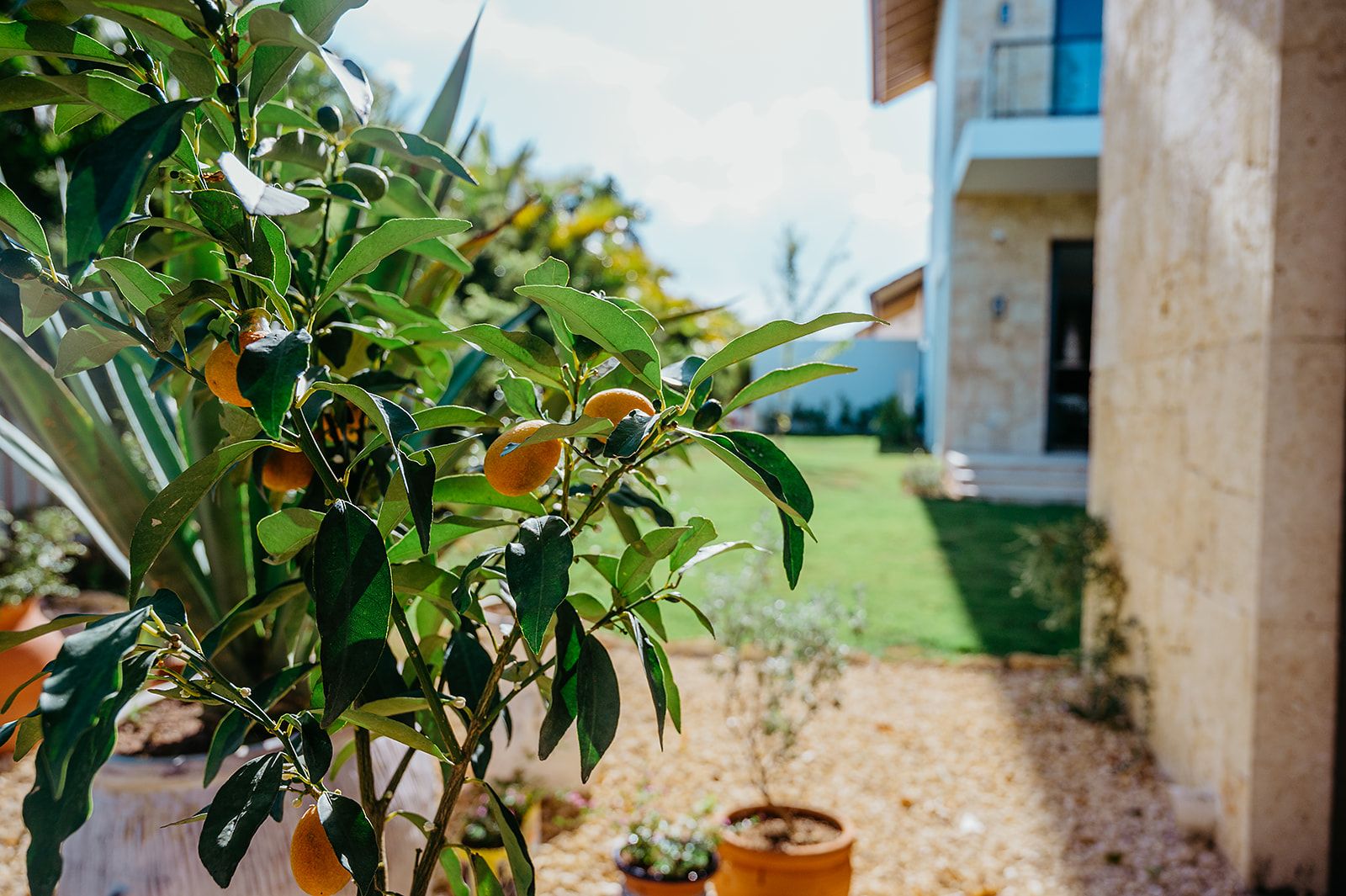 Villa Berta - Thumbnail 192