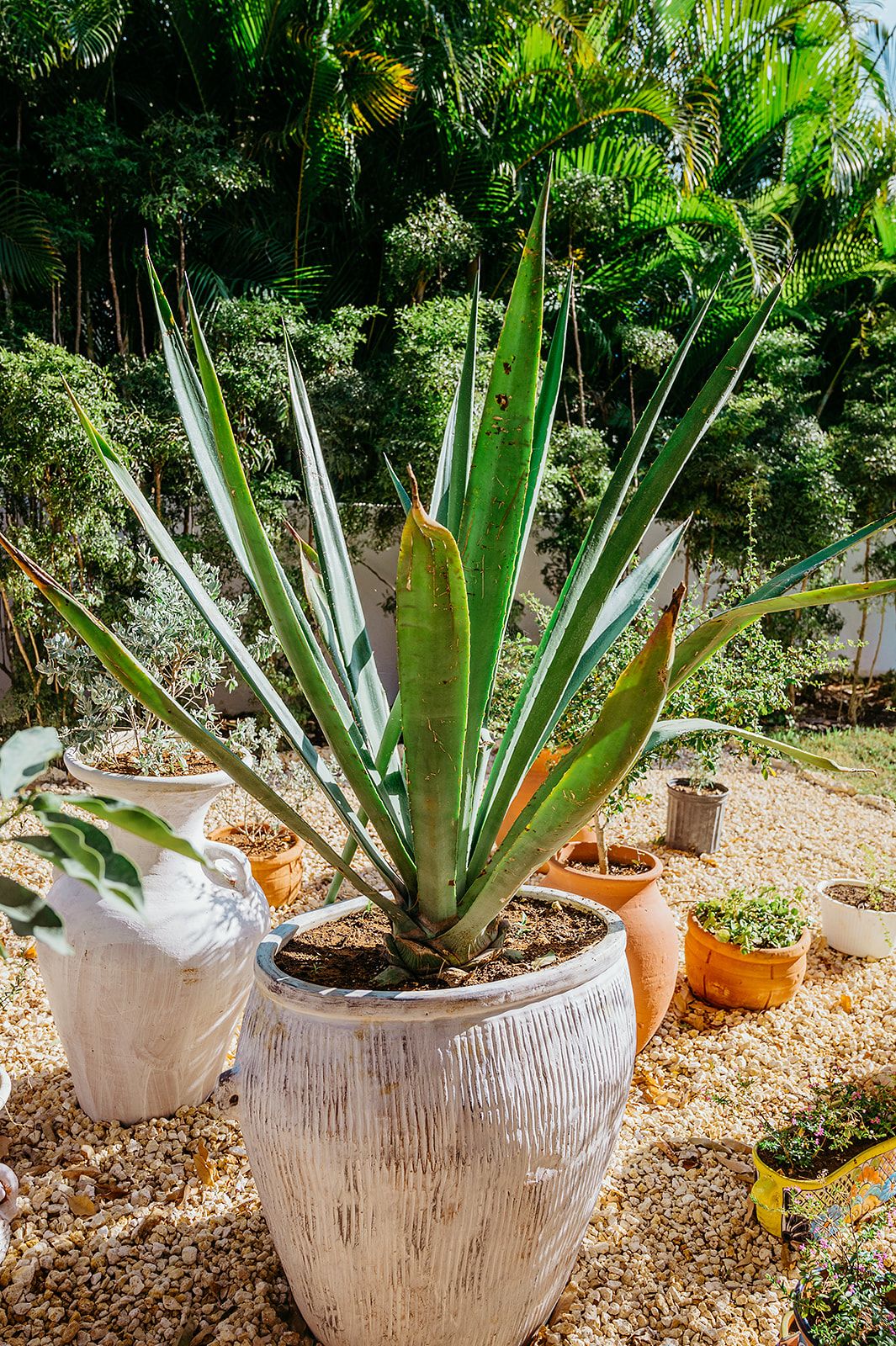 Villa Berta - Thumbnail 193