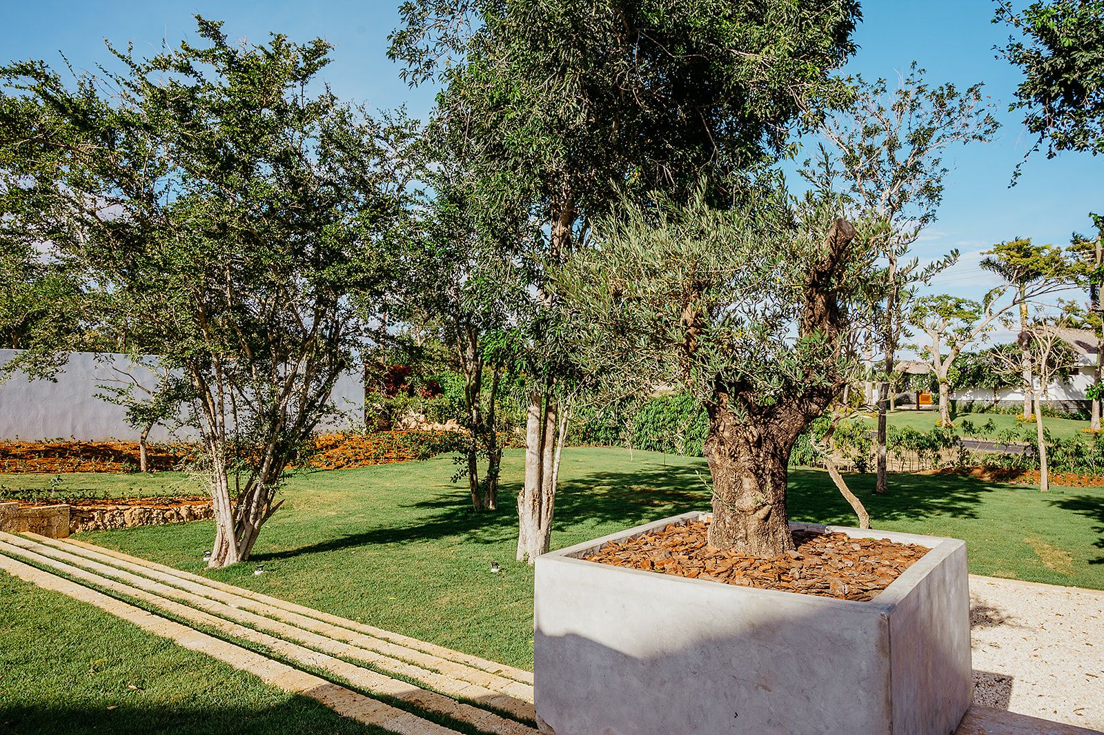 Villa Berta - Thumbnail 216