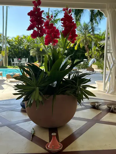 Villa Jardin - Thumbnail 8