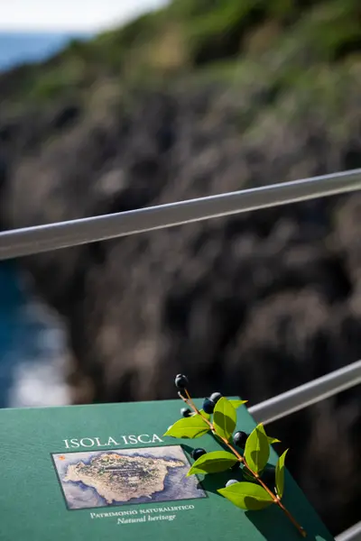 Isca Island - Thumbnail 49