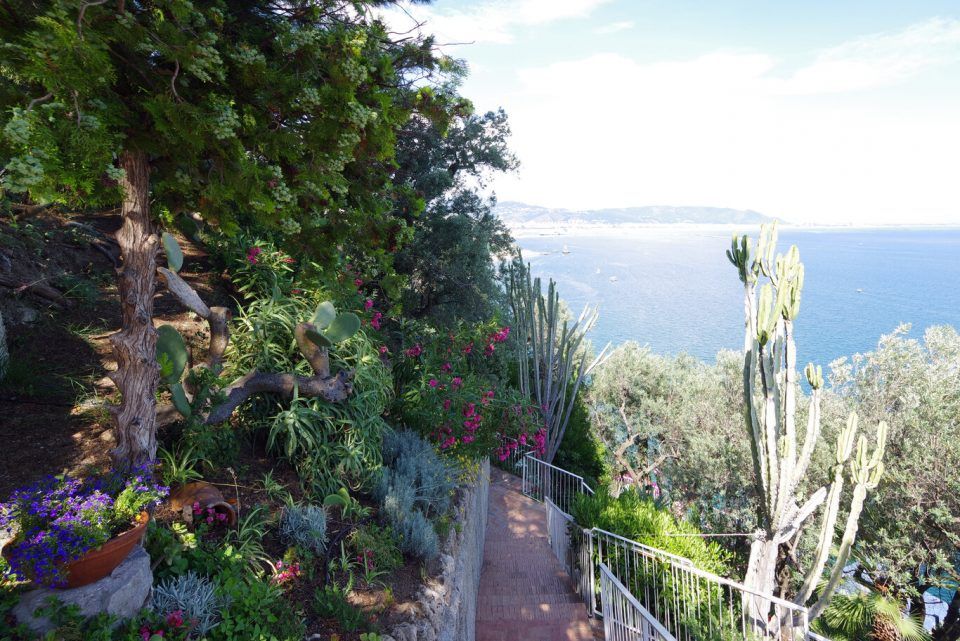 Villa Torre - Thumbnail 9